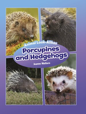 cover image of Porcupines and Hedgehogs